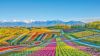 Furano japan