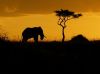 Kenya