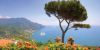 Windstar Cruises