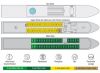 MS Bellissima