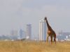 Kenya