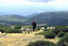 �����-��-������� (Serra da Estrela)