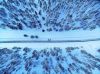 Finland levi