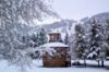 Aspen