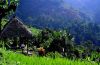 indonesia  Bali ����� ����