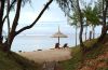 bedstreesbeachocean