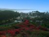 Dana Point