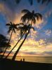 Hawaiian Islands Cruise