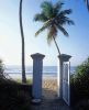 The Beach House