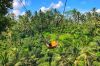 indonesia  Bali