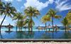 Royal Palm