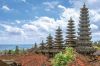 indonesia  Bali