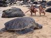 Hanauma Bay