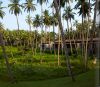 Amanwella