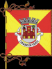 ����� (Viseu)