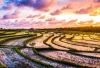 indonesia  Bali