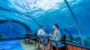 Komandoo Island Resort