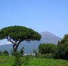 ������� (Napoli) Mount-Vesuviu