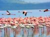 Tanzania