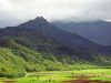 ���� �������� (Waialeale Mount) � �� ����������� -