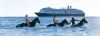 Amsterdam Holland America Line