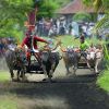 indonesia  Bali