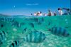 Blue Lagoon Cruises