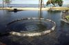 mainpool-with-jacuzzi